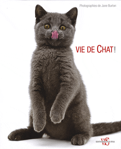 Интернет-магазины, где купить Книга Cat`s life. Прекрасный strong
