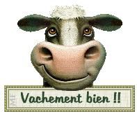 http://a21.idata.over-blog.com/2/43/77/08/miroir--magique/gift-vachement.jpg