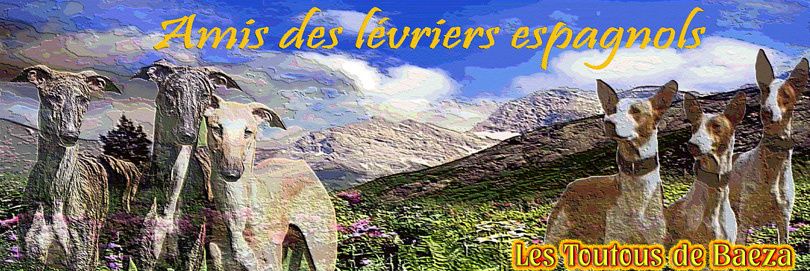Les Toutous de Baeza