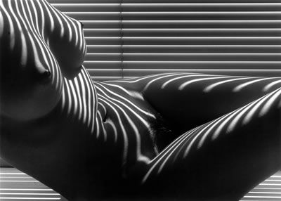 [[Nu fminin zbr par Lucien Clergue]]