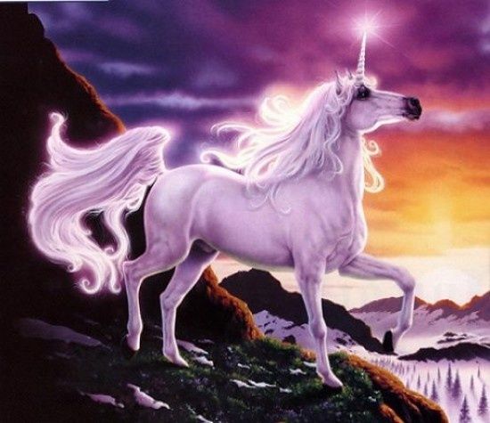 licorne_lumineuse.jpg