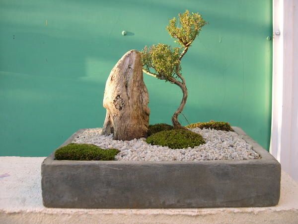 Jardin japonais miniature Jardin japonais miniature